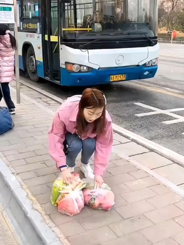 滚轮拖车,购物新体验!买菜不再手忙脚乱!