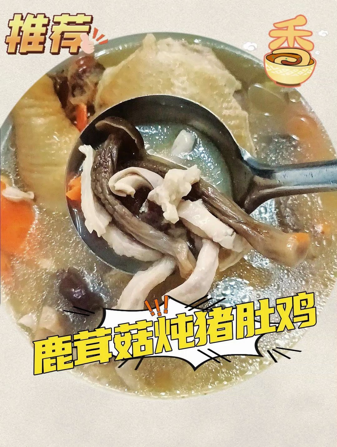想不到鹿茸菇和猪肚老鸡是如此绝配 这个汤真的巨香巨好喝