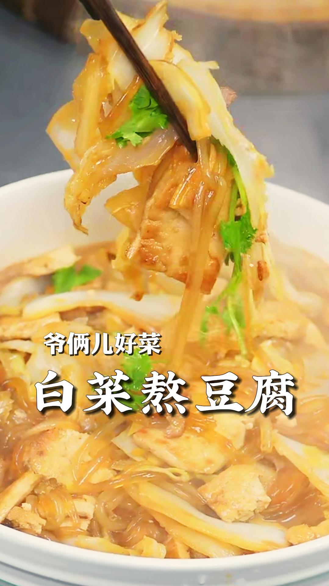 白菜熬豆腐简单美味的家常菜,白菜入味豆腐吸满汤汁,太下饭了!