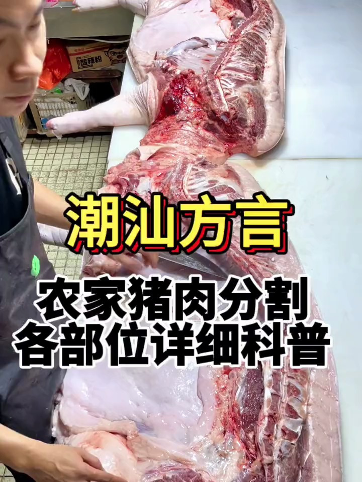 阿浩教你选猪肉今天用潮汕话,科普猪肉分割和各部委详细讲解!