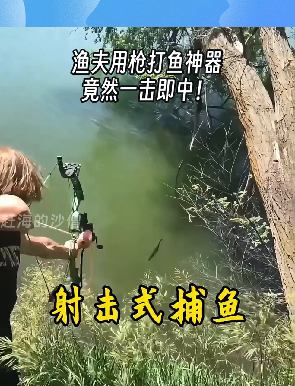 渔夫用枪打鱼神器,竟然一击即中!