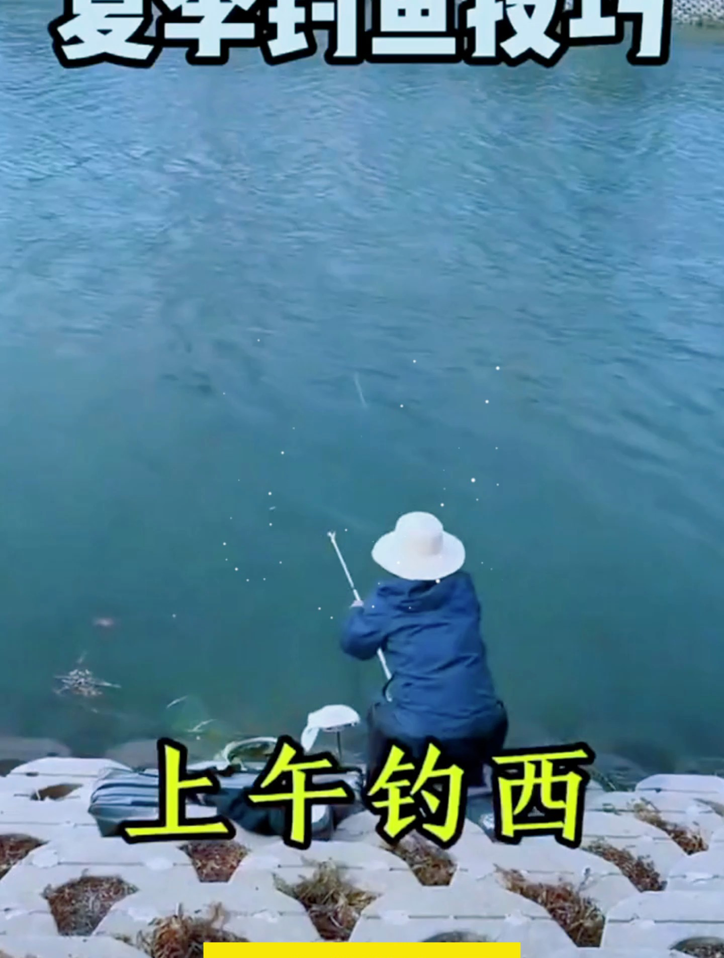 你花20万也买不来的钓鱼技巧,这个视频告诉你!