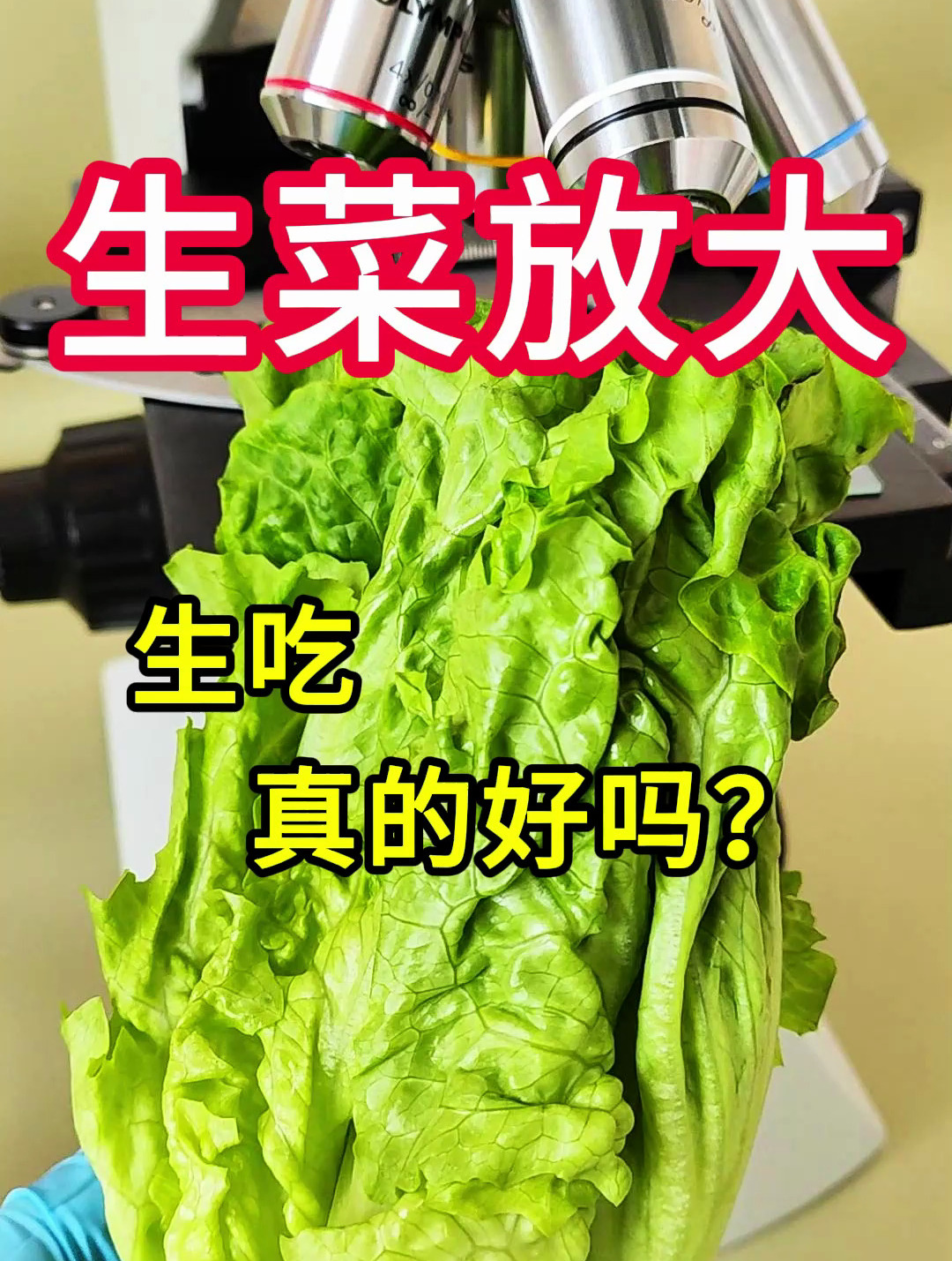 生菜生吃真的好吗?在吃的方面,你可以永远相信“祖宗严选”