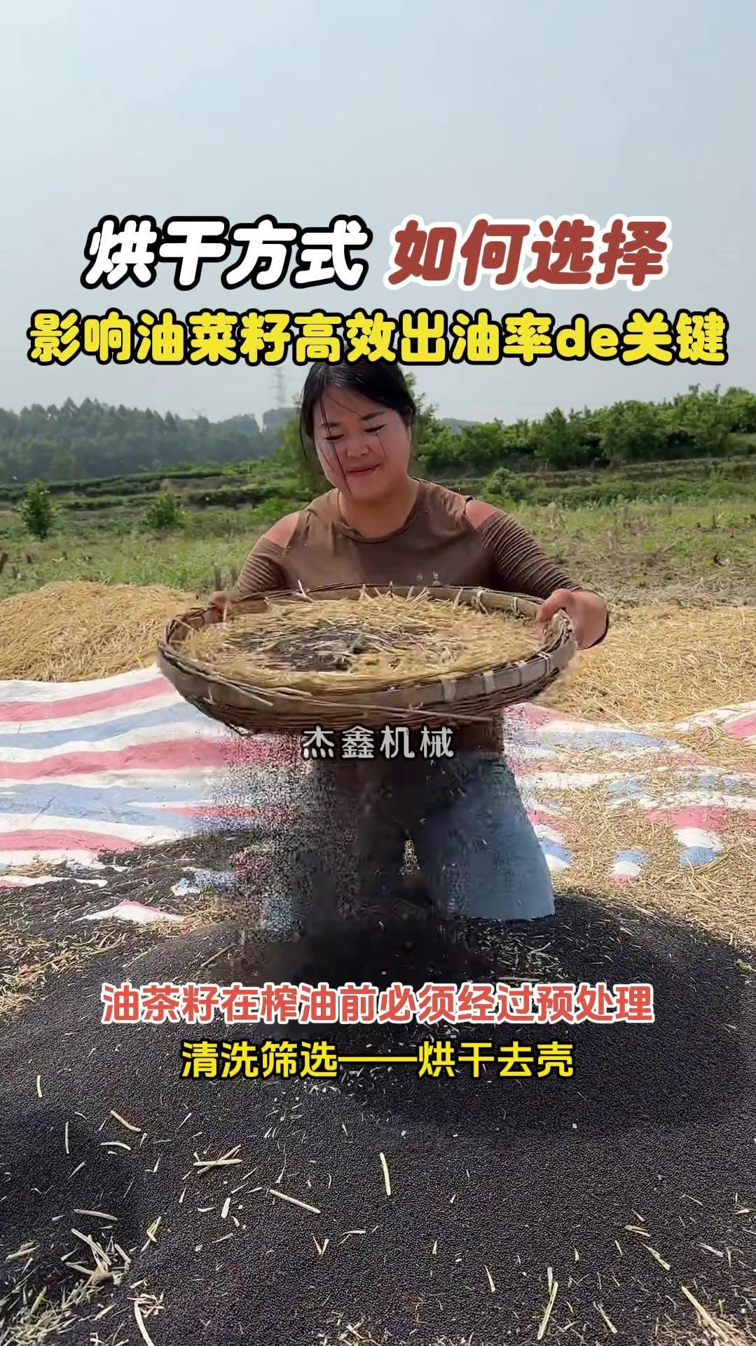 油菜籽的烘干方式如何选择?