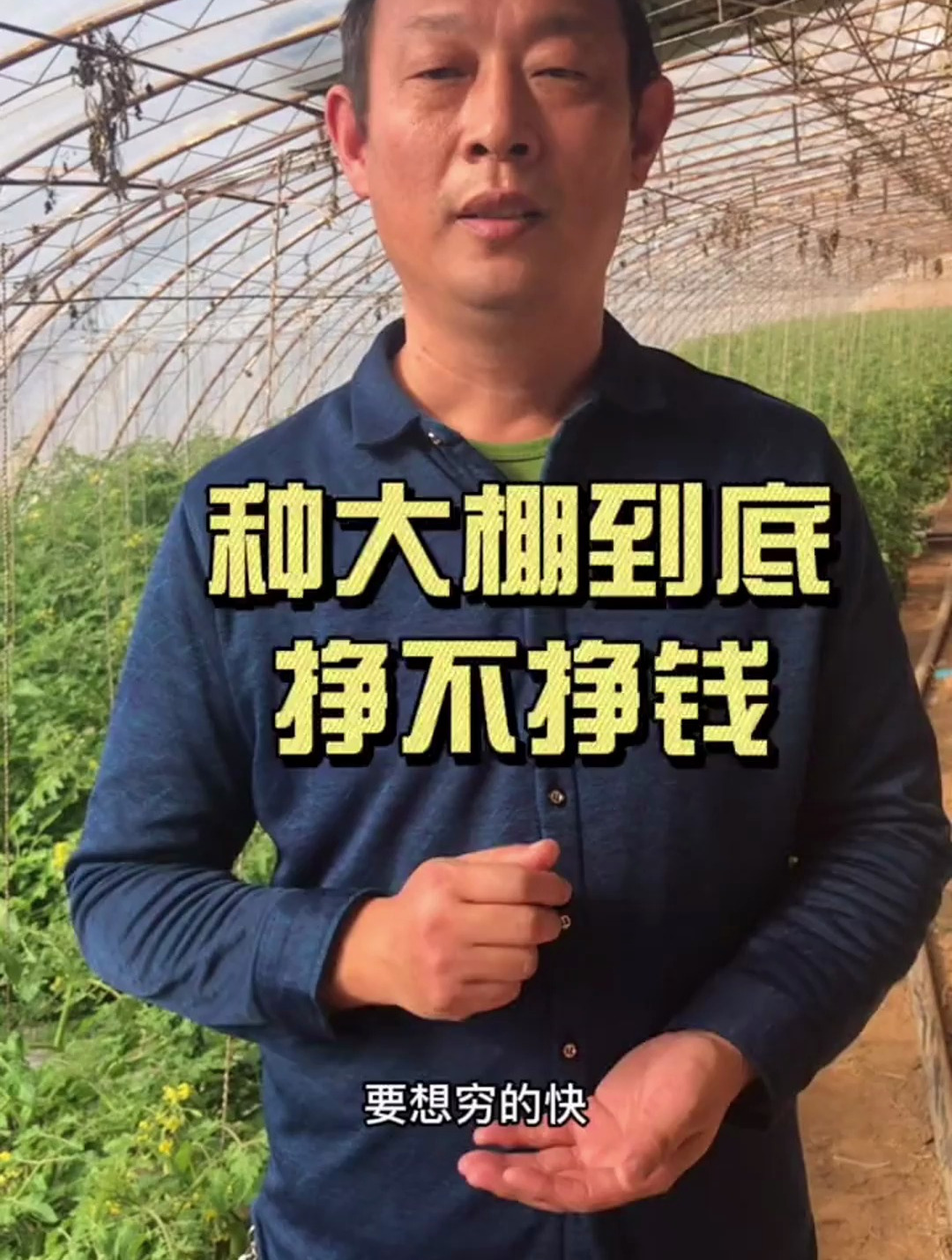 要想穷的快,大棚种蔬菜!这是真的吗?