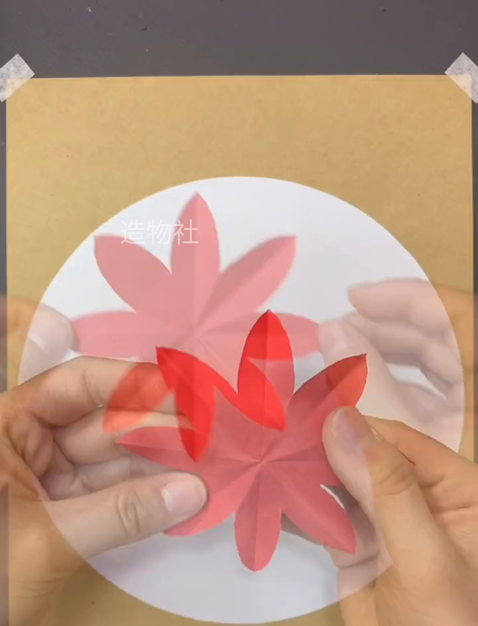 春节快到了,咱们动手做幅喜庆的富贵花开图吧