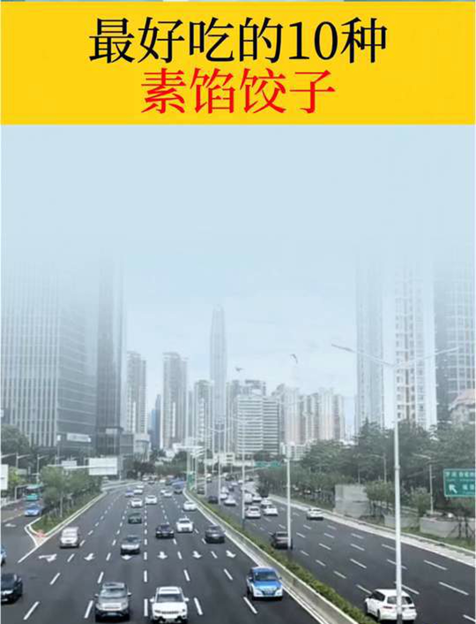 最好吃的10种素馅饺子