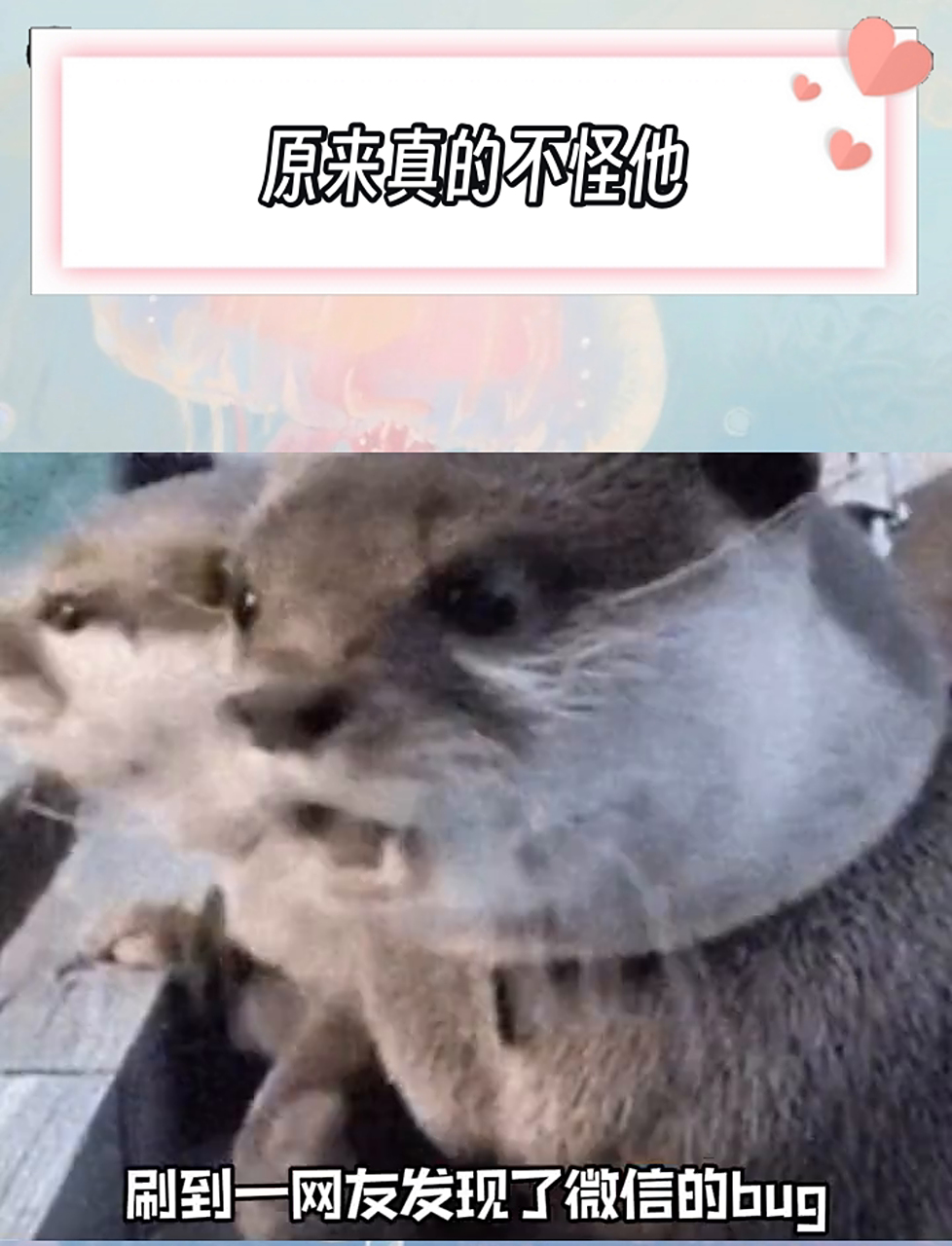 一直都怀疑手机的问题,从来没怀疑过微信