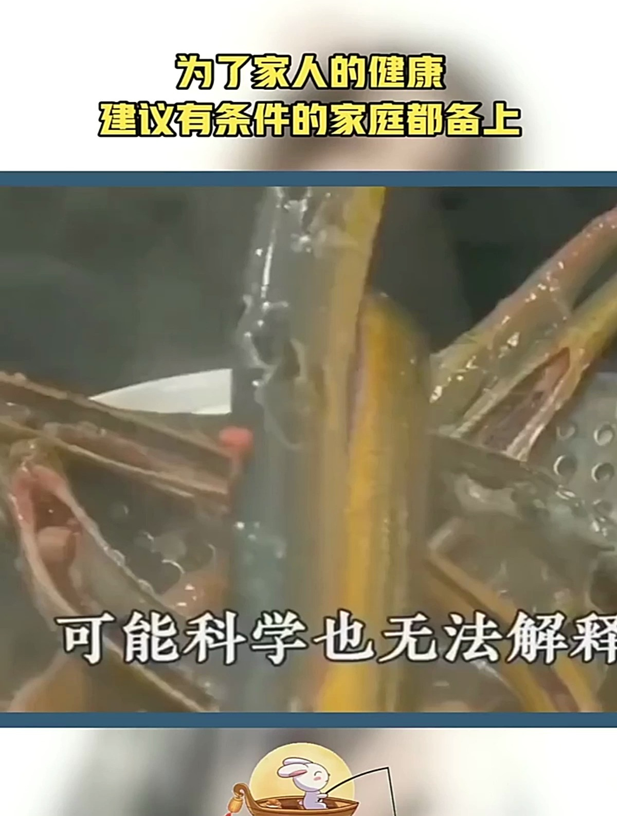 有了这本白病食疗大全,更加注意饮食了,相生互补守护家人健康