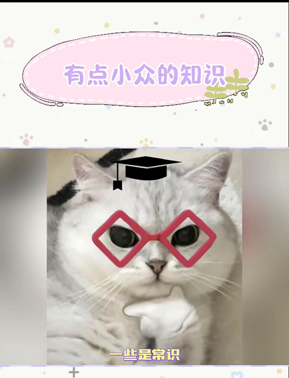 你可能不知道的微波炉使用方法