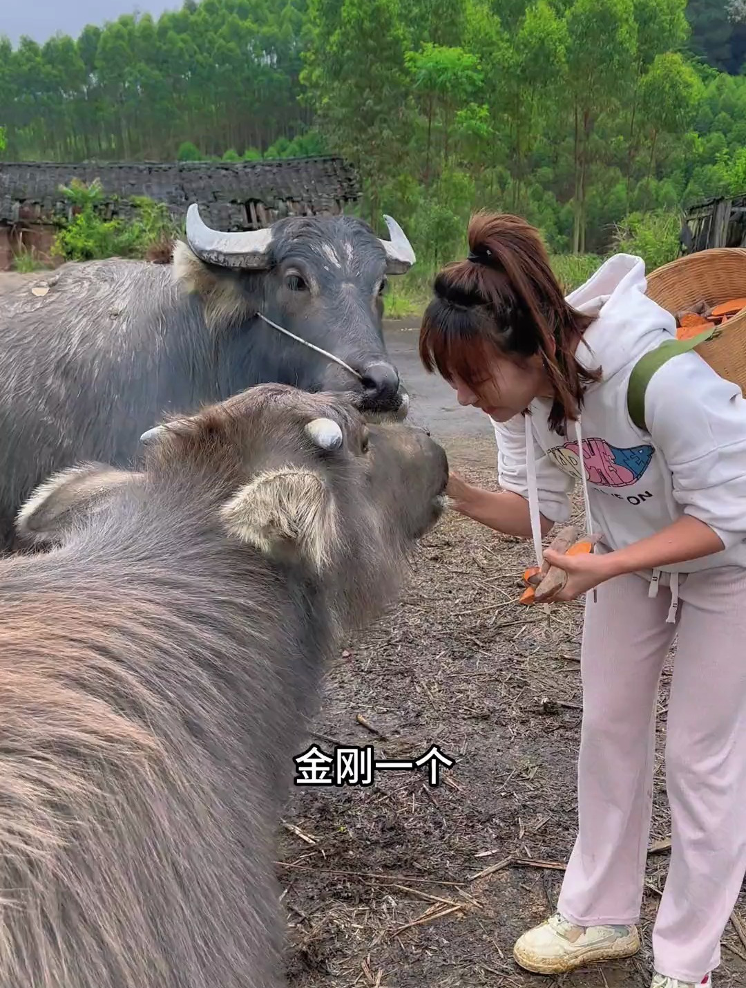 妹妹给我们送来了几个凤梨,做一道凤梨排骨给爷爷奶奶吃～