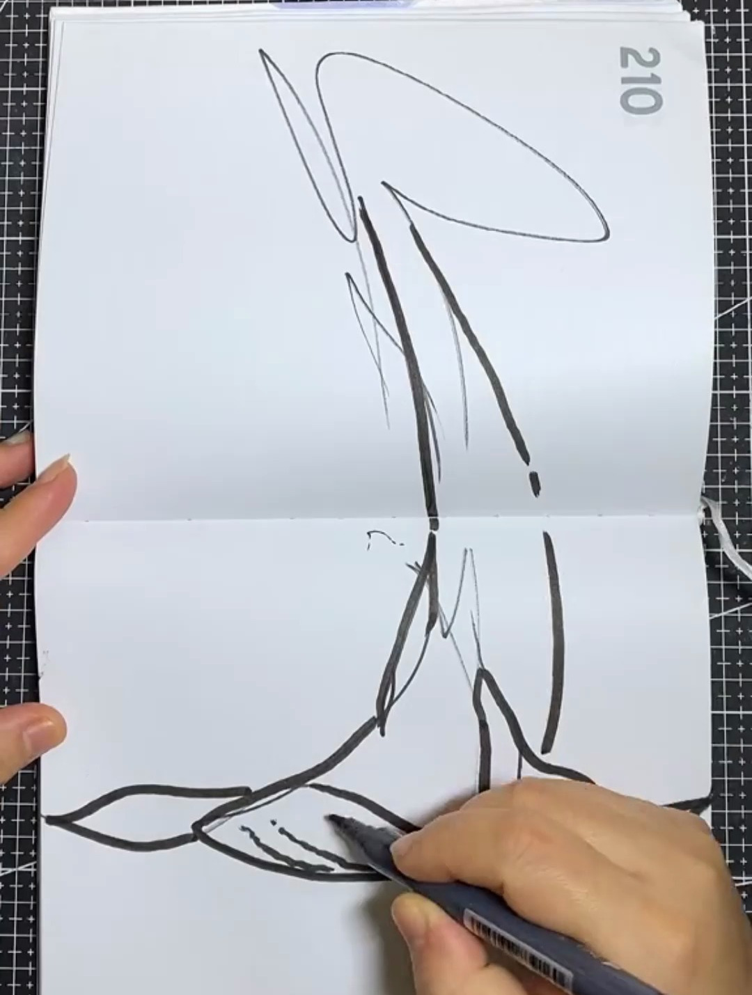 一条飞起来的鲸鱼,要变身喽