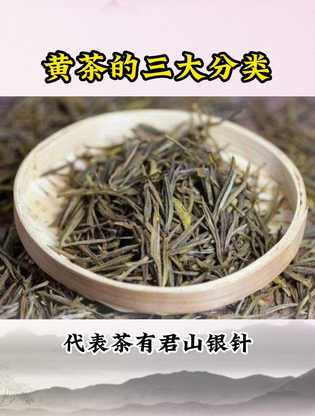 黄茶的三大分类品种和代表茶叶