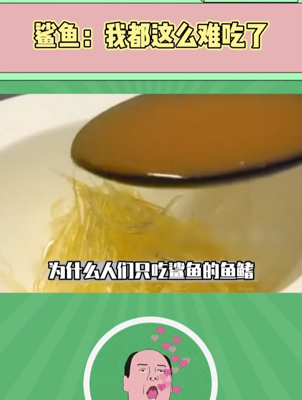 鲨鱼:我都这么难吃了