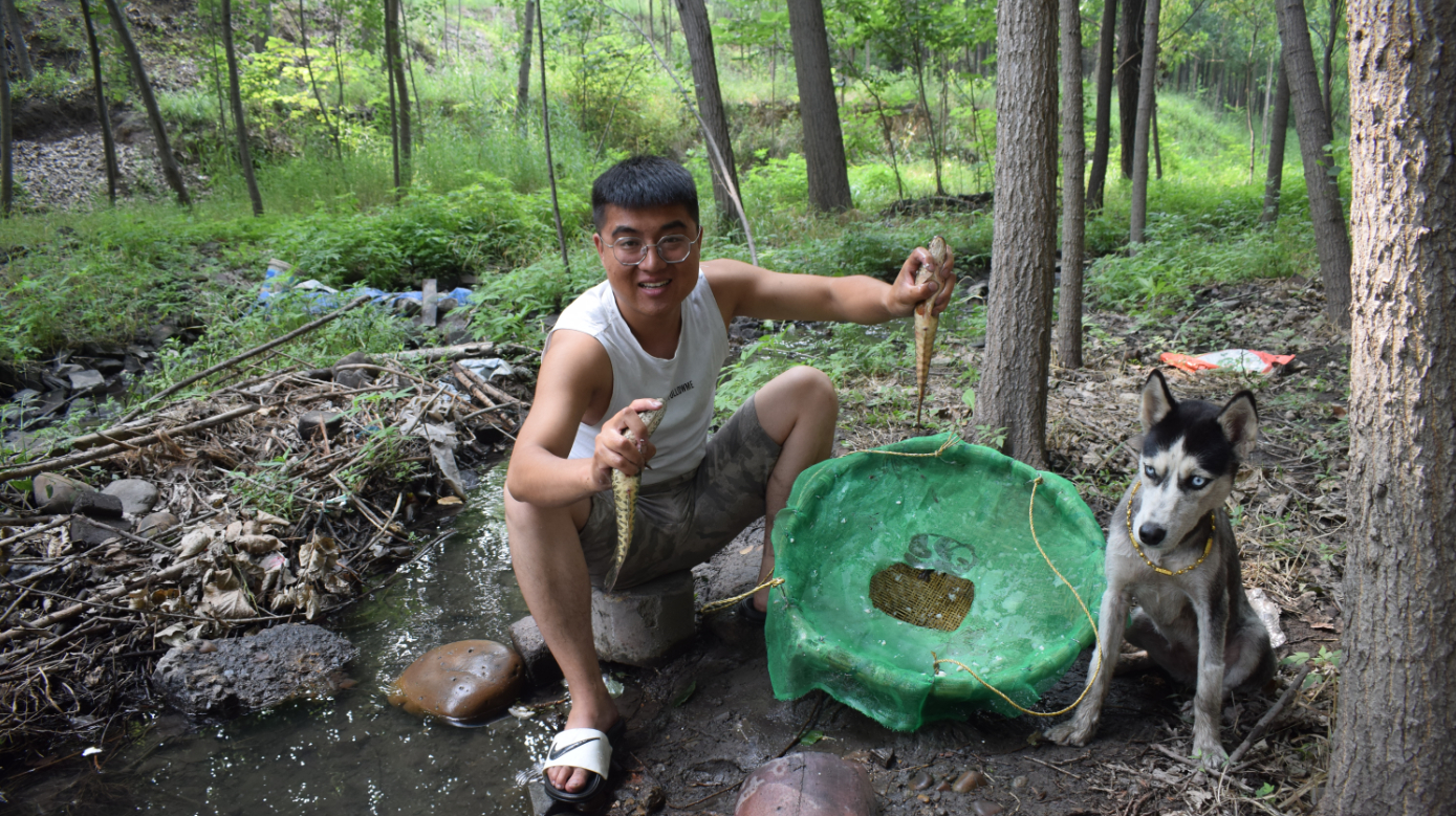 小吉到河沟起捕鱼陷阱,笼里捕到了好多鱼虾,可把二哈给乐坏了