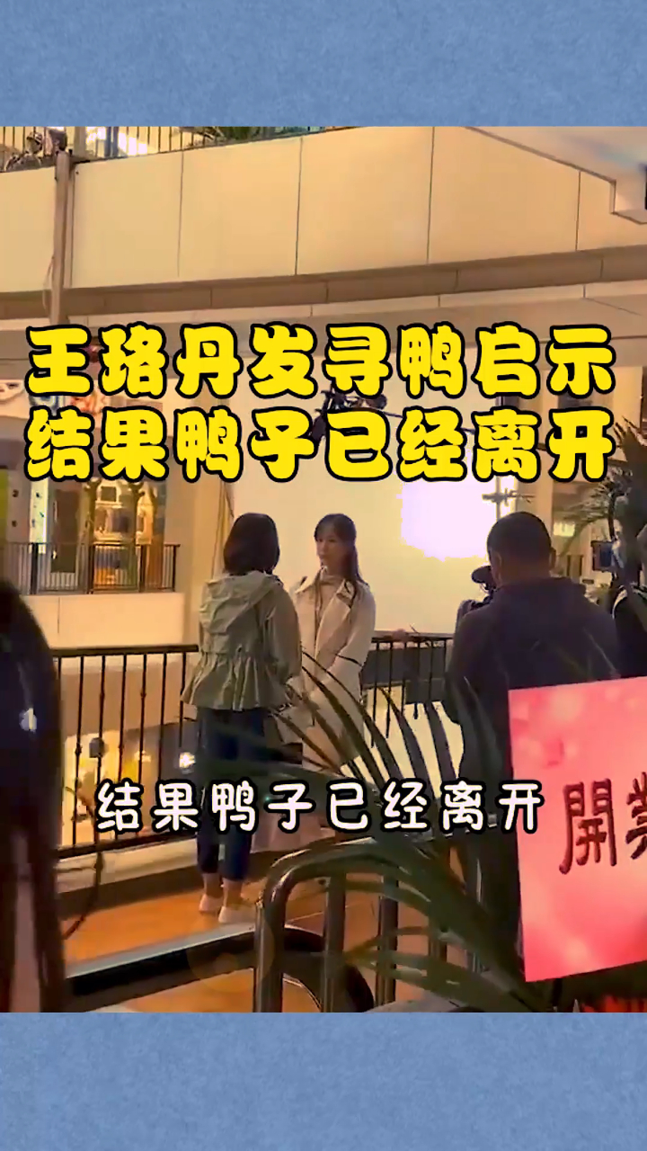 王珞丹发寻鸭启示,结果鸭子已经被吃了,难受