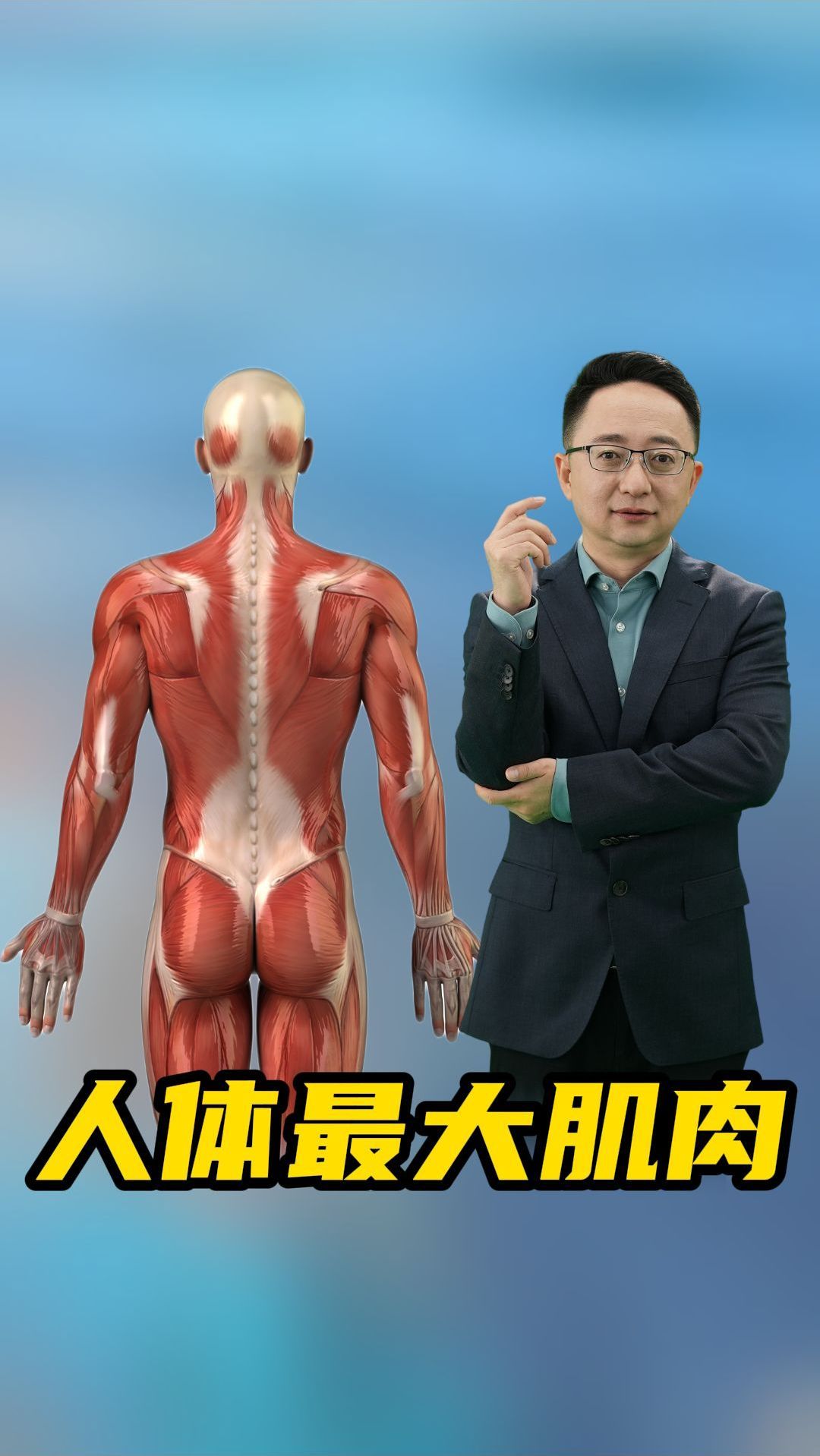 你知道人体中最大块的肌肉是什么吗
