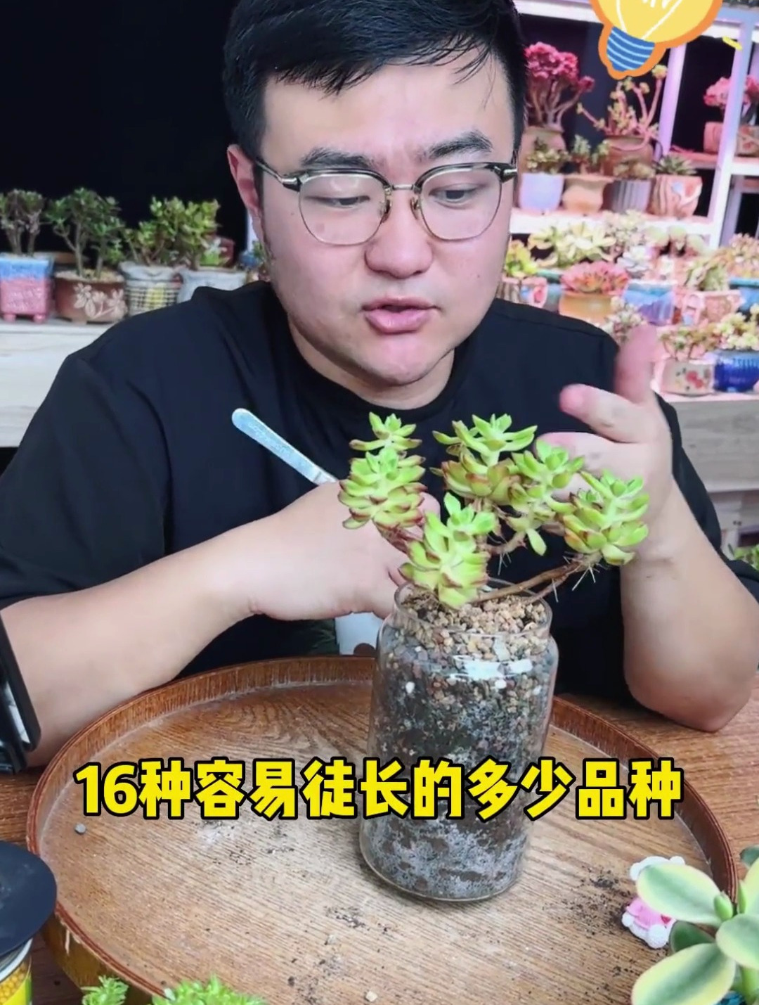 夏季容易徒长的多肉盘点第一期来了,看看你中招了没 多肉植物