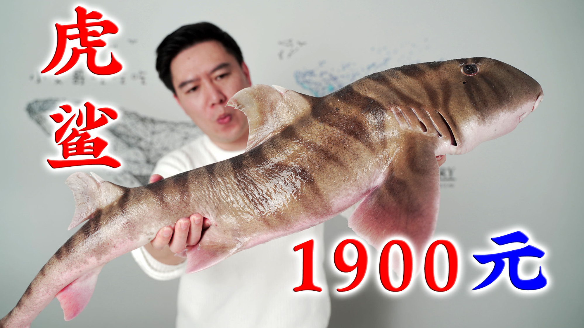1980买一条巨大虎纹鲨,做一锅泡椒酸菜鱼,酸辣刺激,越吃越上头