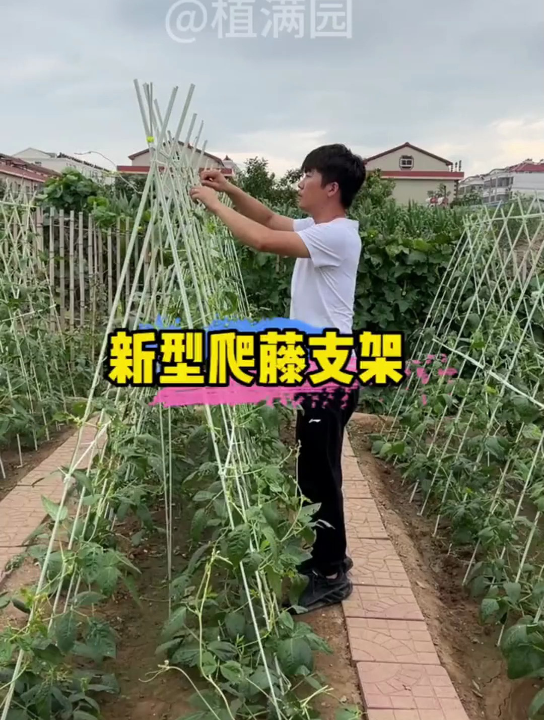 搭豆角架黄瓜架用玻璃钢纤维杆拱棚支架玻璃纤维杆蔬菜种植