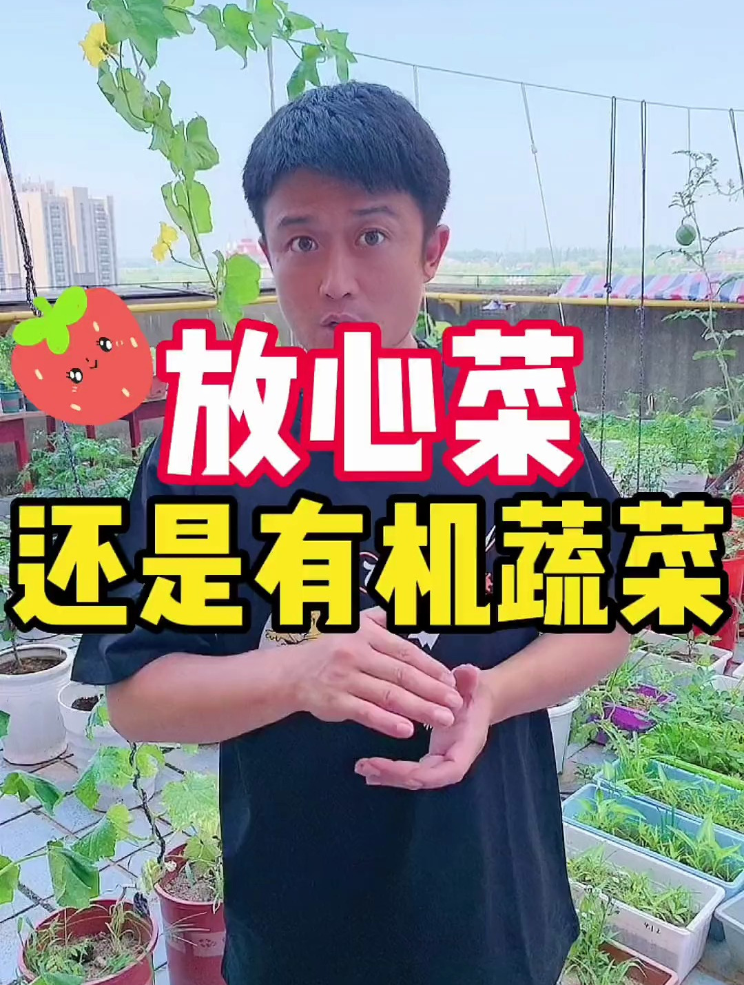是不是只有经过检测认证的有机蔬菜才是安全放心的蔬菜?