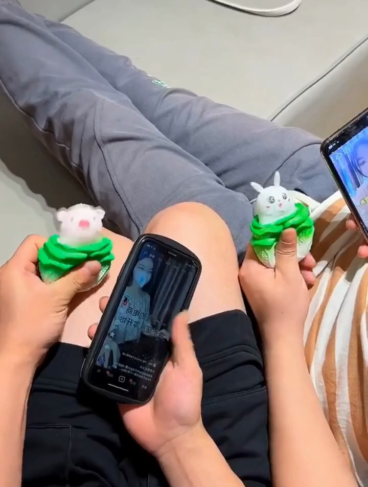 这难道就是传说的白菜拱猪?