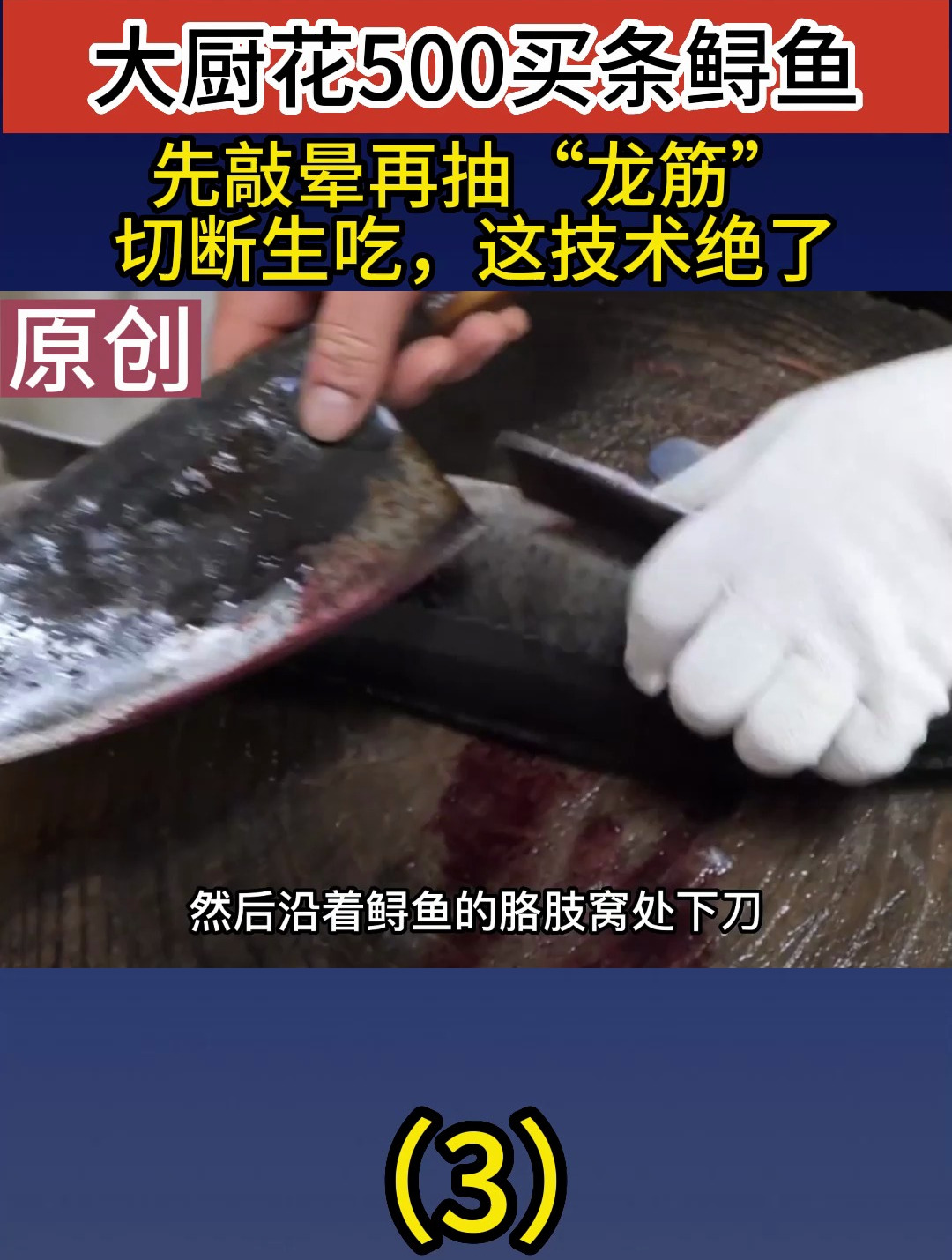 大厨花500买条鲟鱼,先敲晕再抽龙筋,切断生吃,这技术绝了(3)