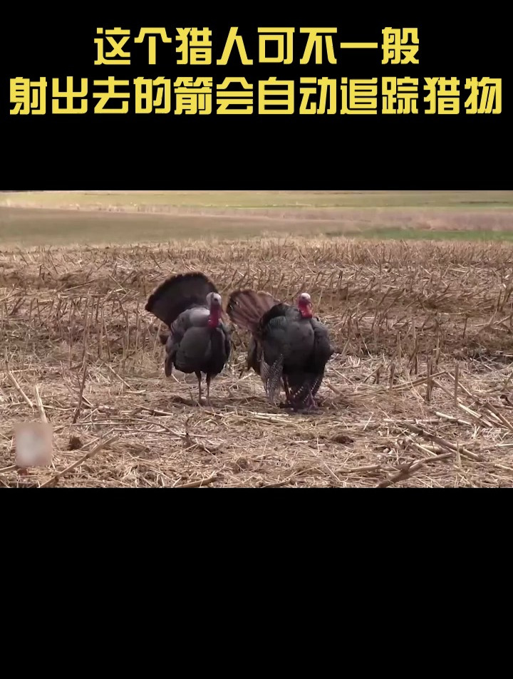 这个猎人可不一般,射出去的箭会自动追踪猎物