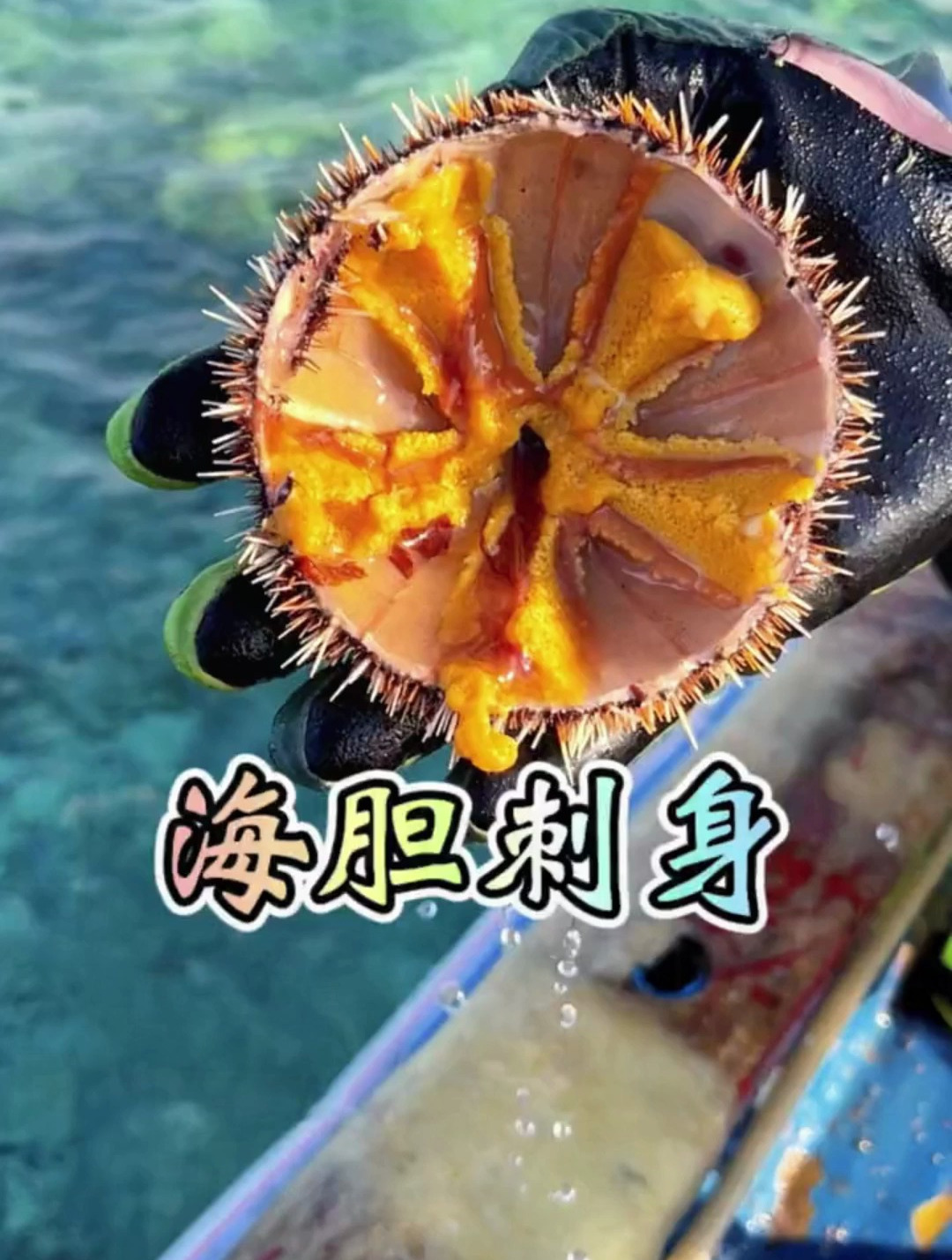 西沙群岛海胆刺身 现抓海胆刺身,味道不是一般的鲜甜