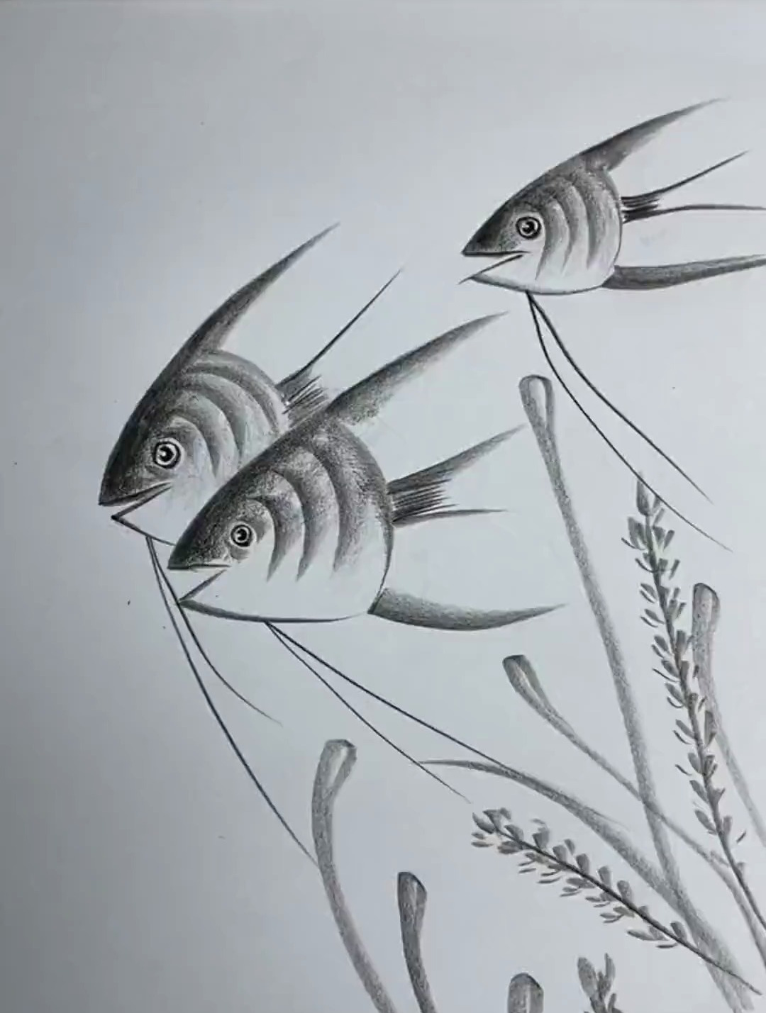 简单几笔画燕子鱼