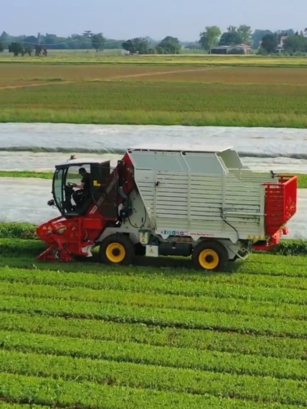 蔬菜收获机蔬菜机械茎叶收获机蔬菜种植蔬菜收获
