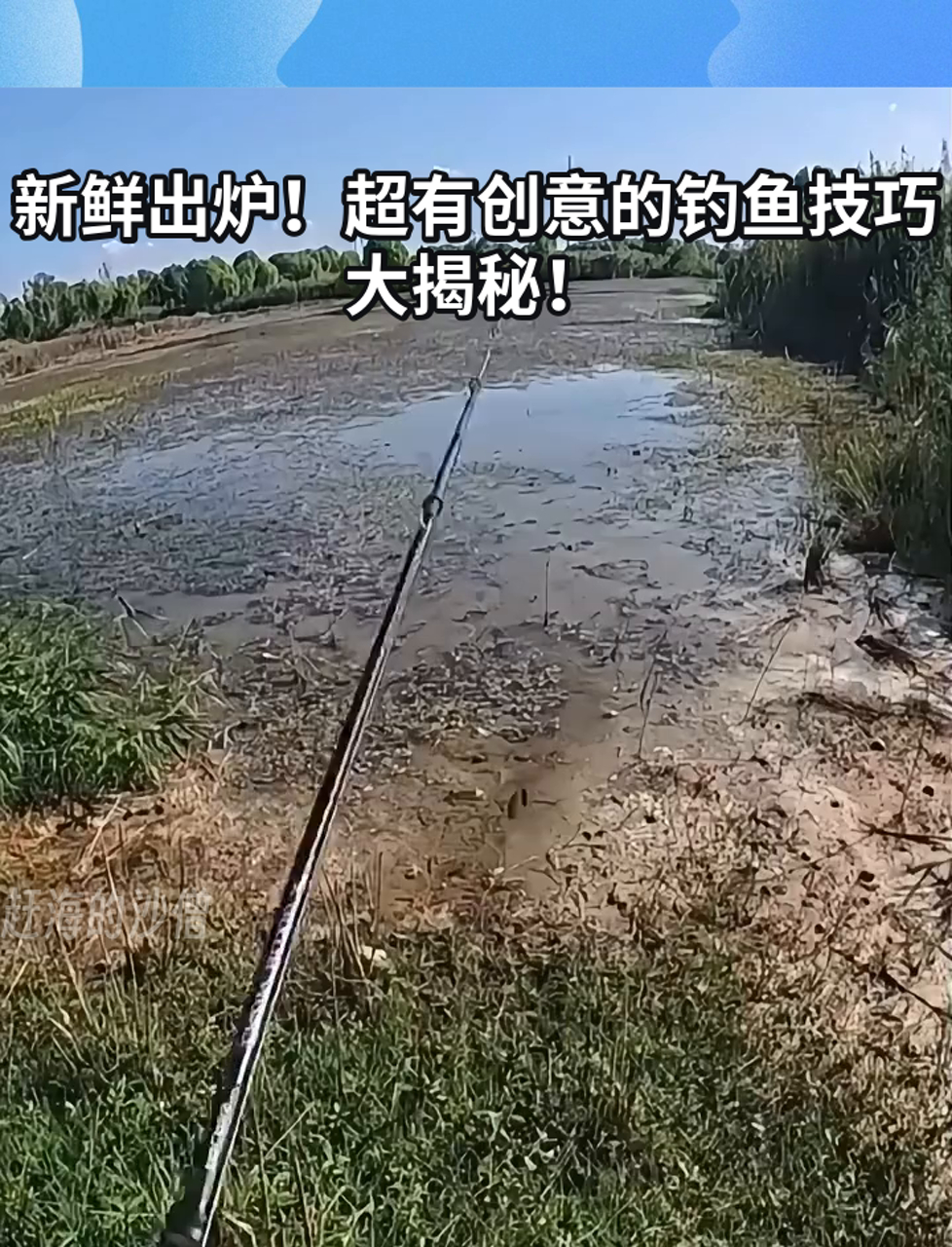 新鲜出炉!超有创意的钓鱼技巧大揭秘!