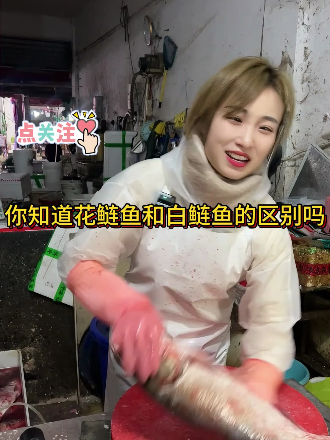 你知道花鲢鱼和白鲢鱼的区别吗