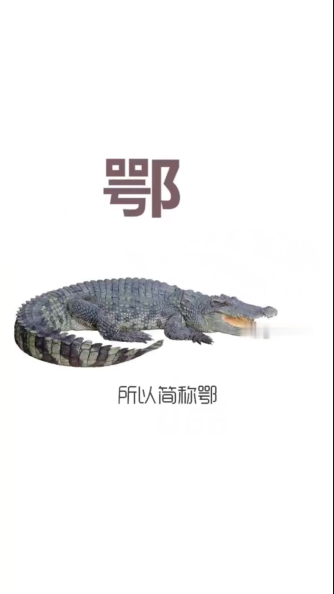 湖北的小龙虾才是最多的!涨知识