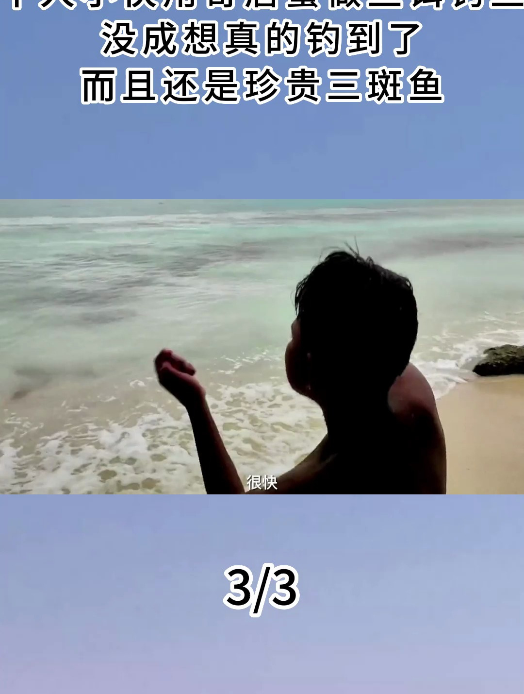 牛人用寄居蟹做鱼饵钓鱼,没成想真的钓到了,而且是珍贵三斑鱼3