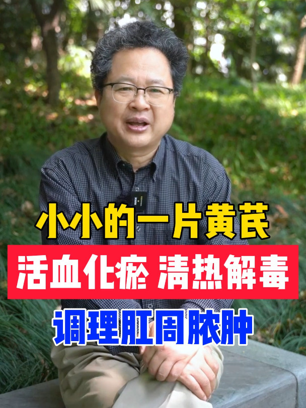 小小一片黄芪,活血化瘀 清热解毒,调理肛周脓肿