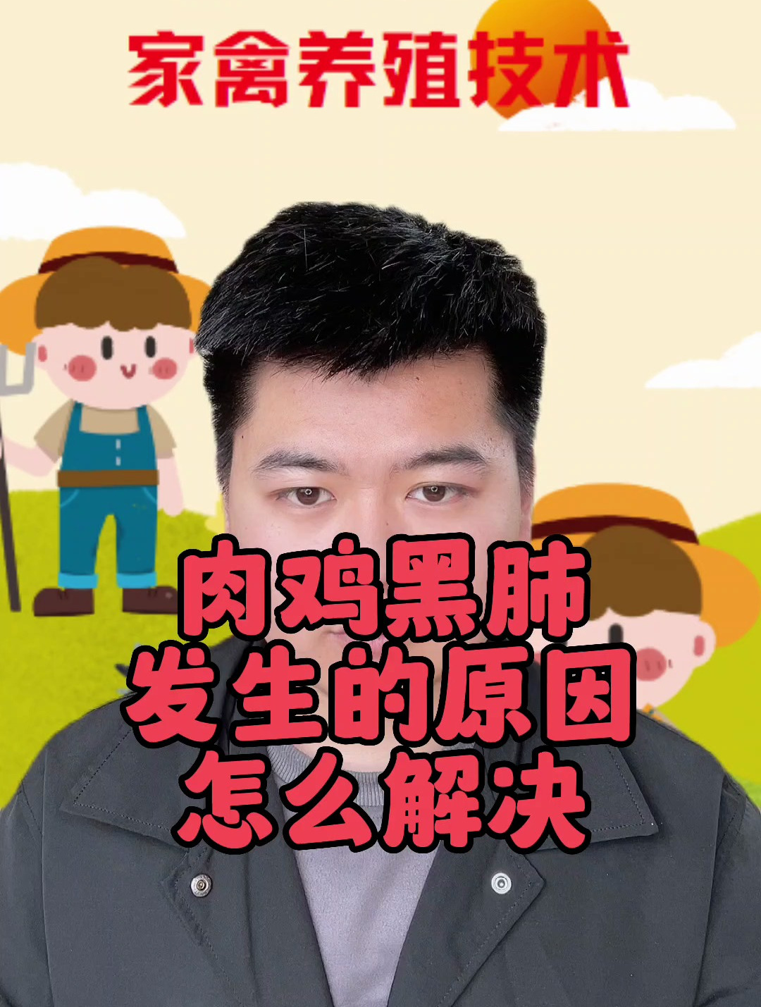 肉鸡黑肺是怎么引起的 鸡黑肺子是怎么回事 肉鸡肺部发黑的原因