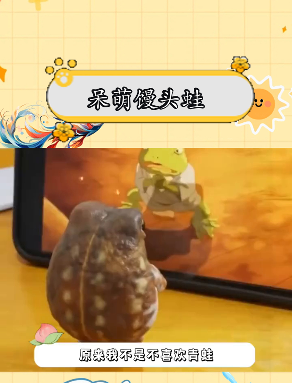 馒头蛙:可爱才是必杀技!