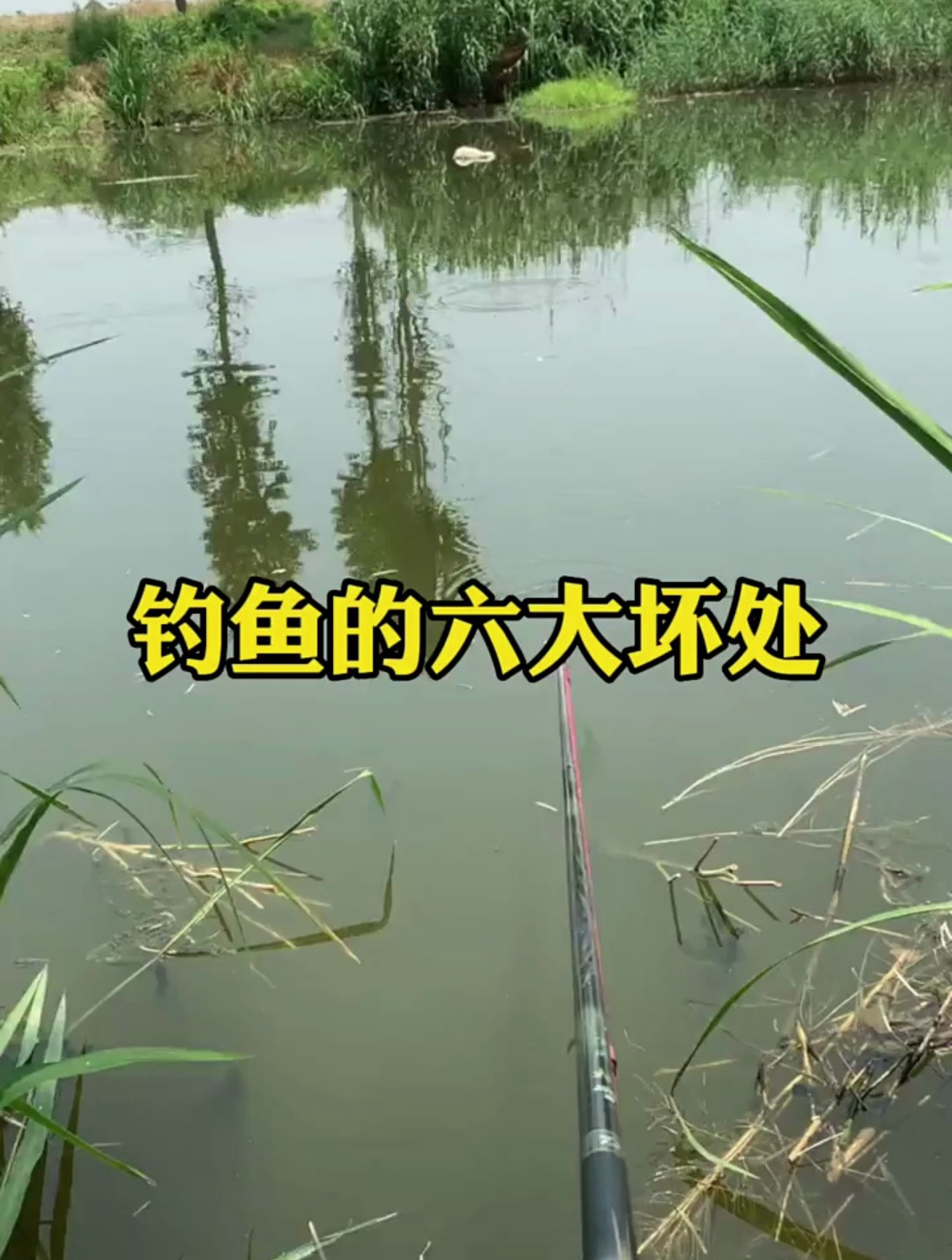 钓鱼百益无一害?这六大坏处你要知道!