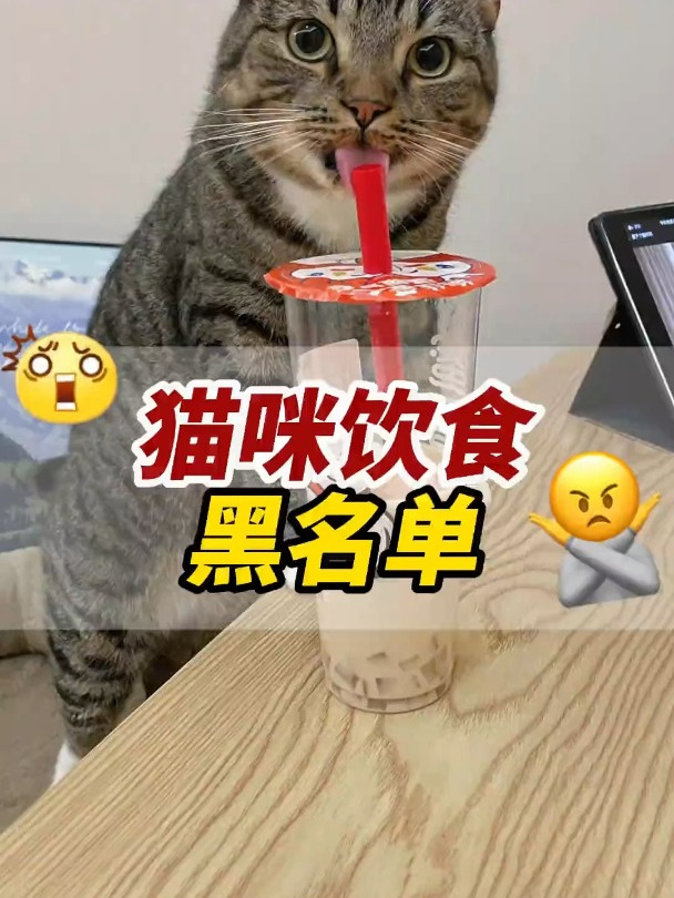 猫咪吃了这些东西,活不过24小时