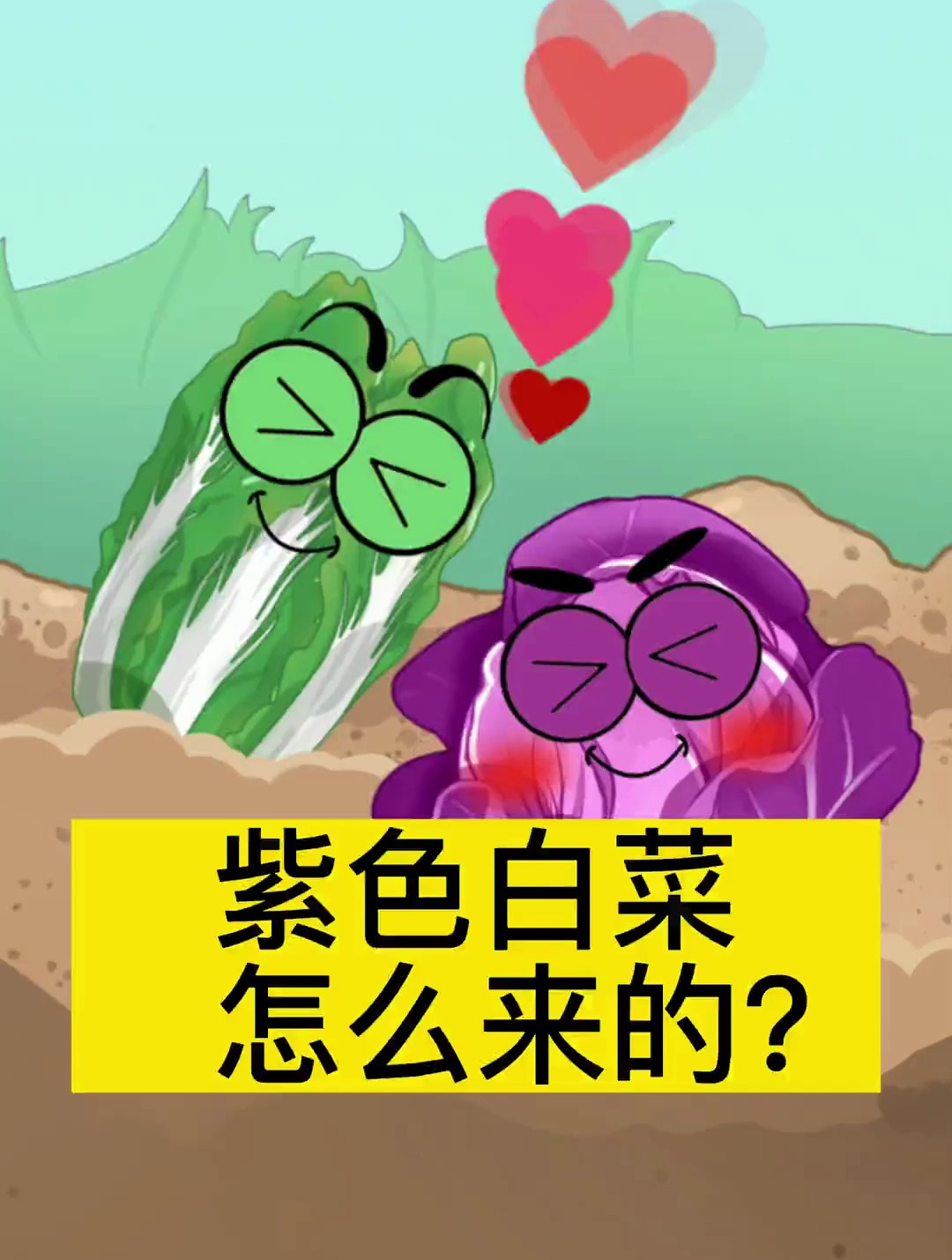 紫色白菜怎么来的?