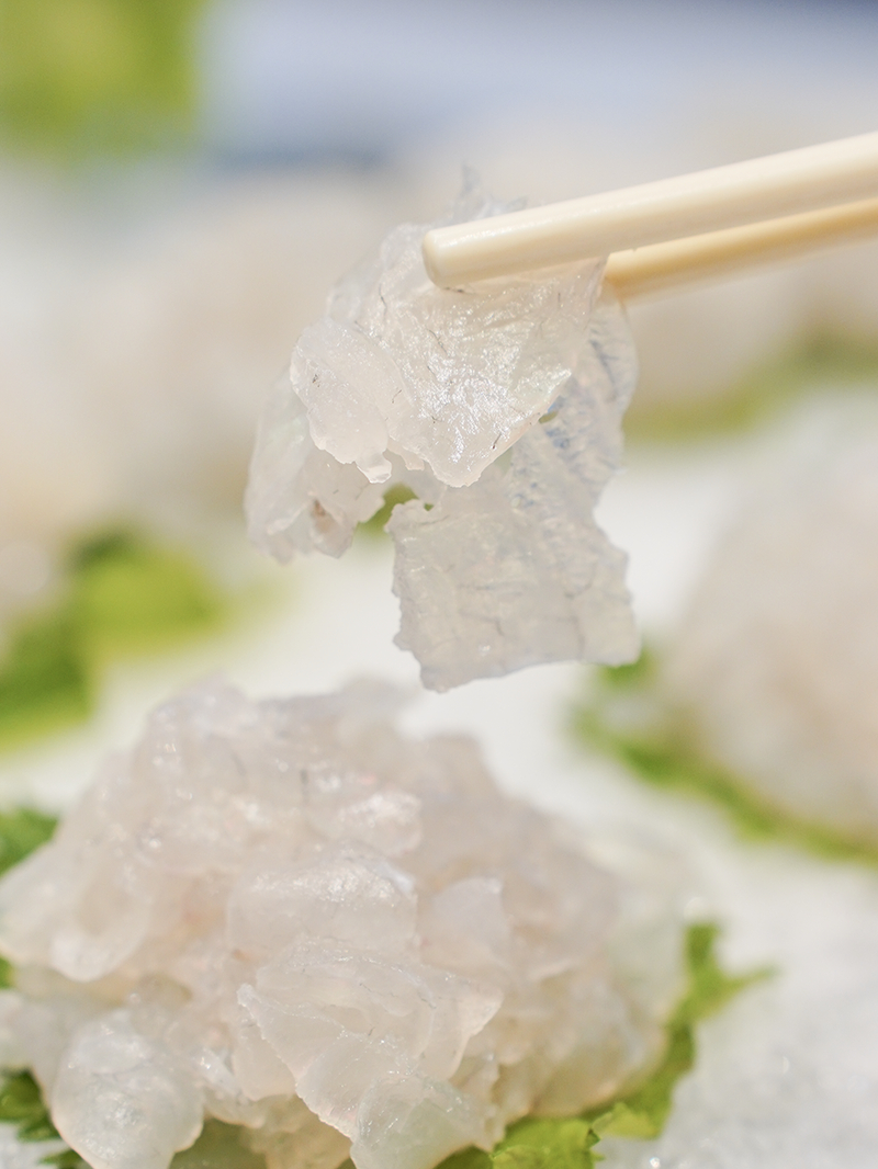 这应该是顺德鱼生的天花板了吧,佛山这家明星餐馆,明星都经常来