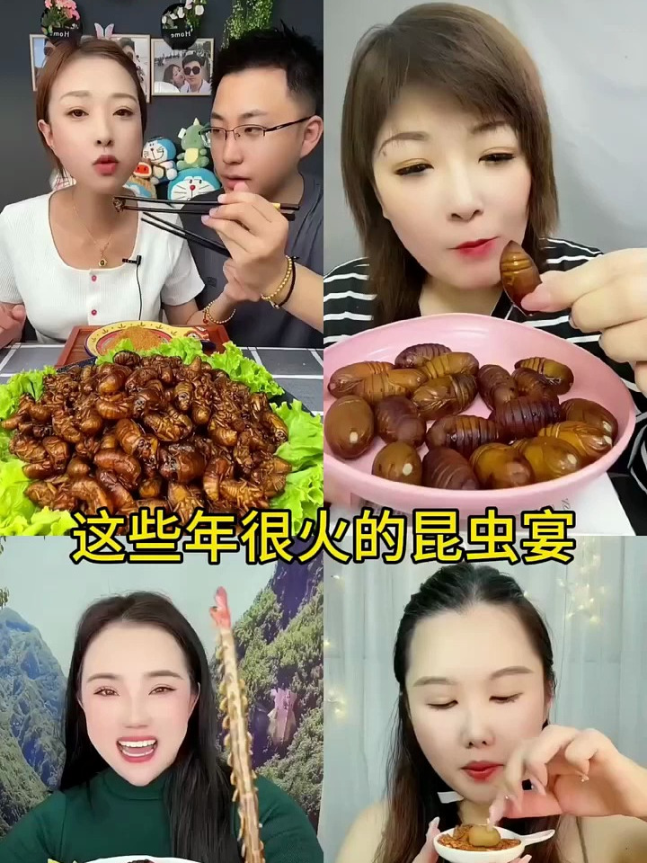 这些年很火的昆虫宴,今天吃个不一样的