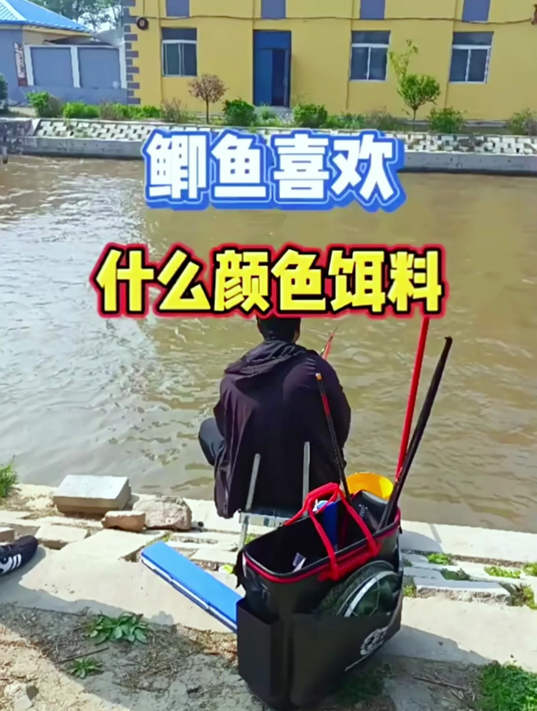 你知道鲫鱼喜欢什么颜色的饵料吗?不知道的可以来看看!