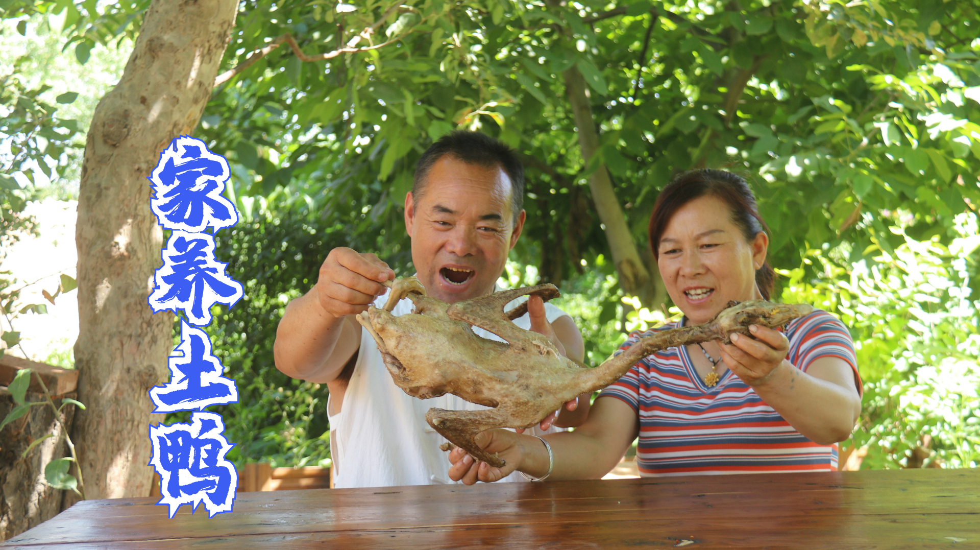 家养土鸭子做“盐水鸭”,肉质香嫩,和老婆子吃过瘾了
