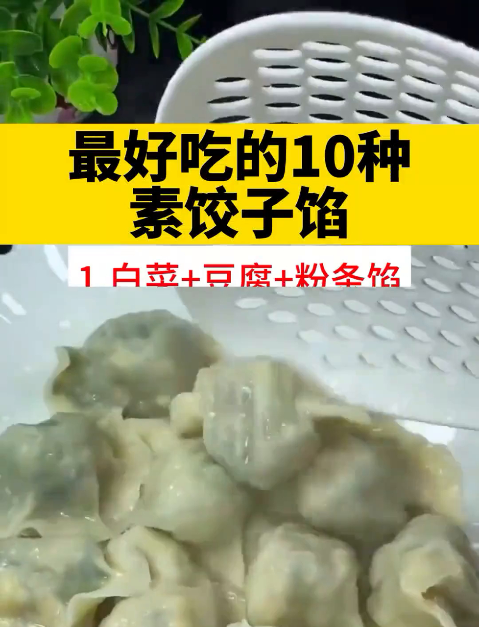 最好吃的10种素馅饺子