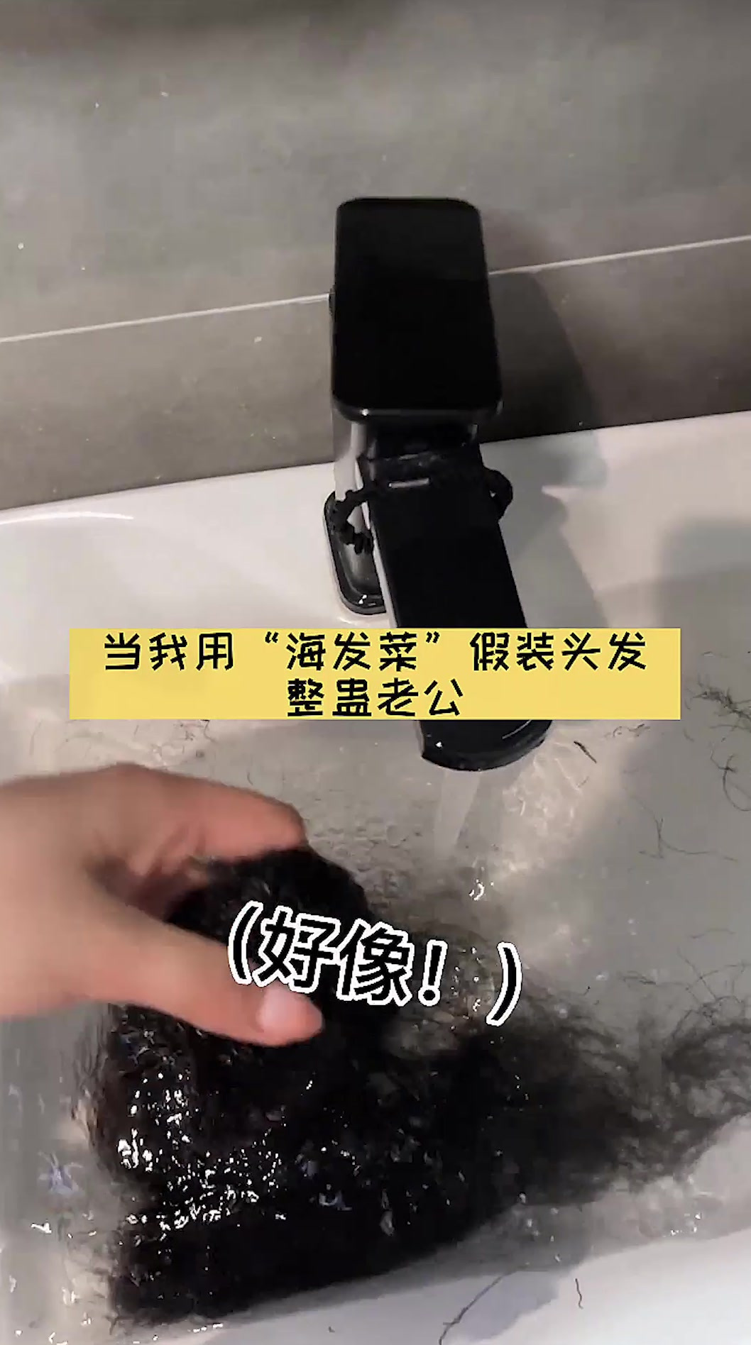 当我用海发菜假装头发