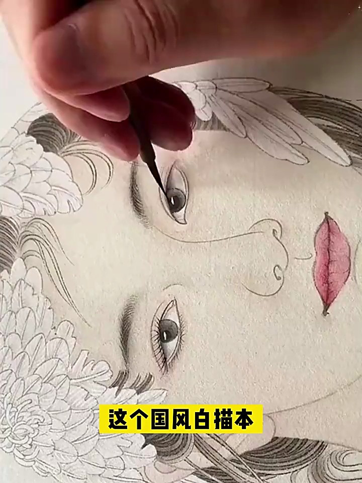 典雅白描,勾勒东方美学意境