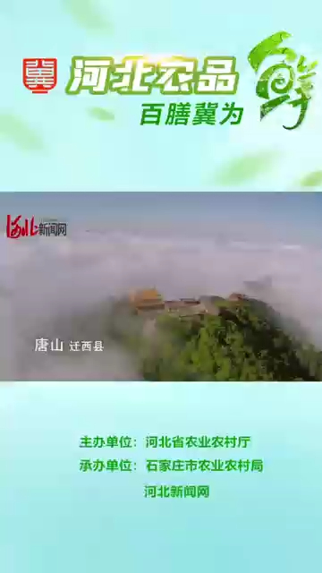 迁西板栗