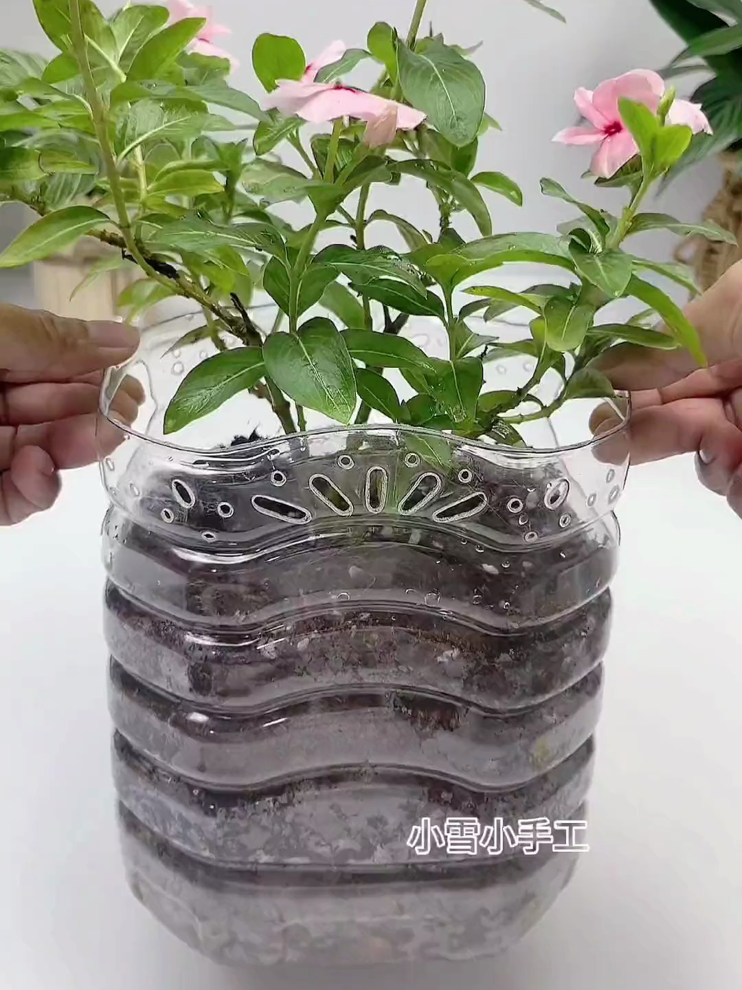 家里的大油桶别扔,今天教大家做个带提手的花盆,快动手试试吧!